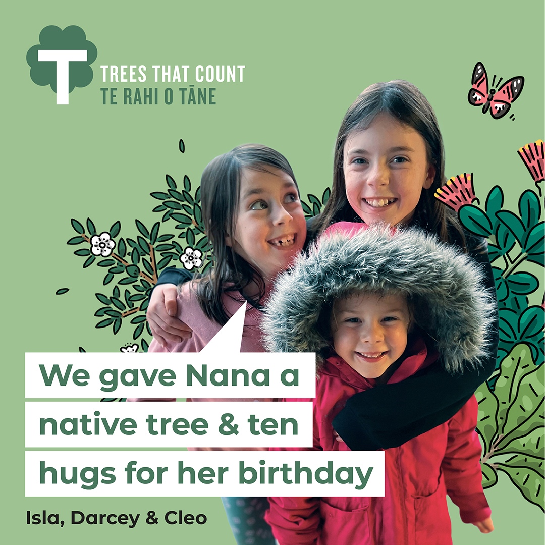 🌳 Trees That Count 🌳 tweet media