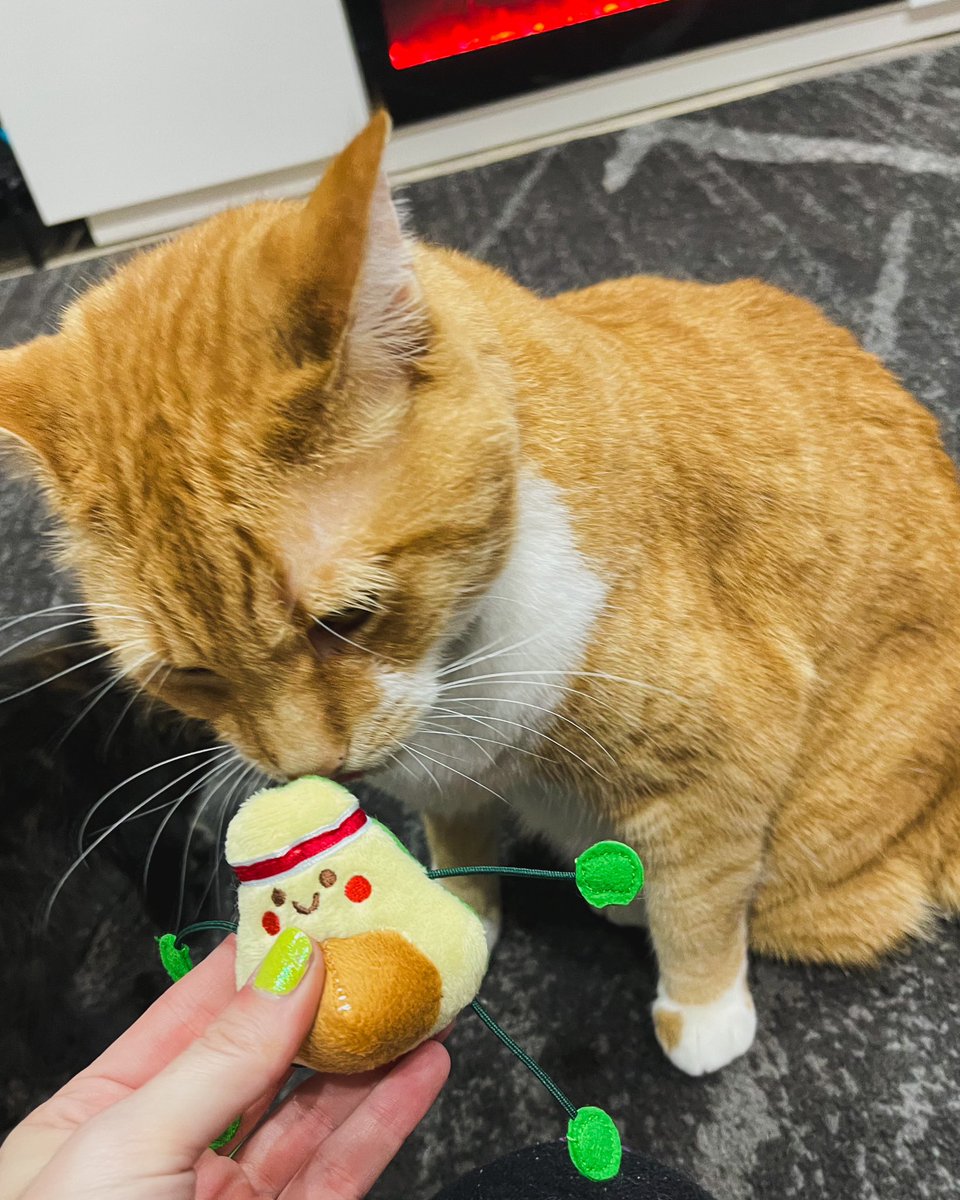 Betty-Jean tweet media