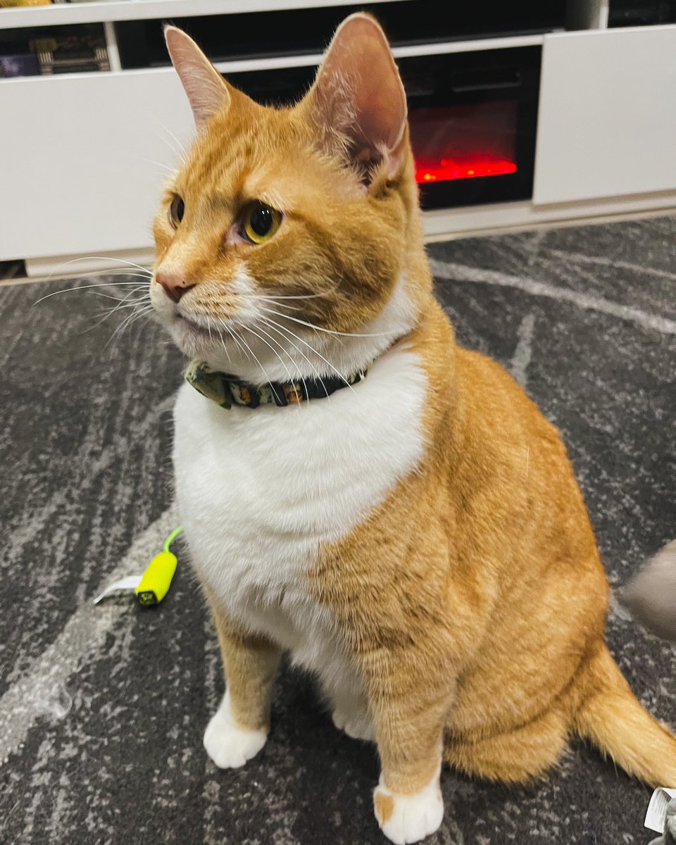 Betty-Jean tweet media