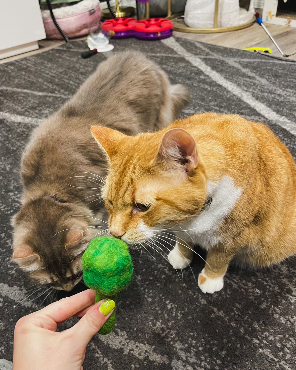 Betty-Jean tweet media