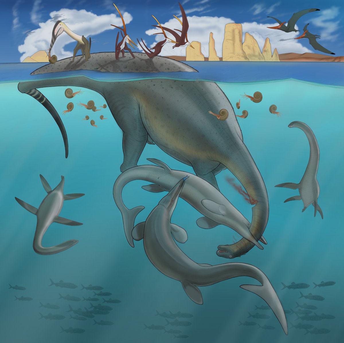 66 million years ago, a deceased Titanosaur drifts out to sea from the arid coast of North Africa. Hainosaurus boubker draws first blood as the others wait their turn…

This is my entry for the #hainoartcontest by @Brennan_Martens commemorating the newly described mosasaur!