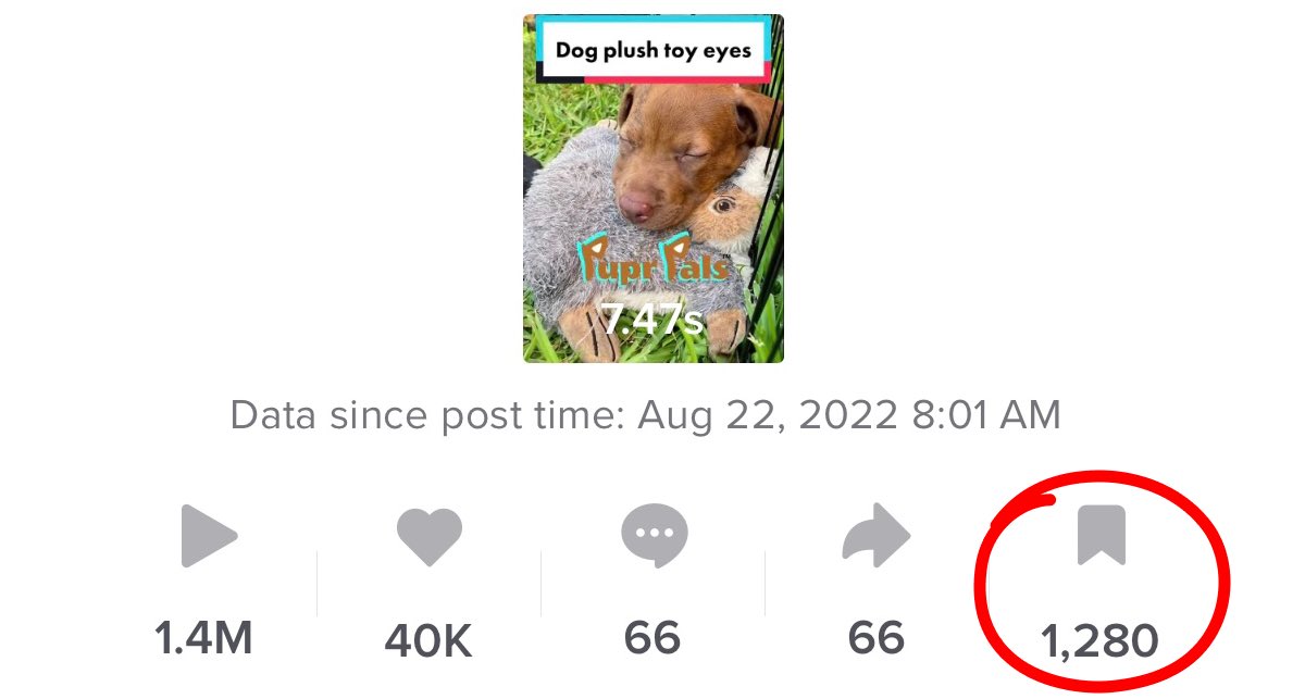 saul0pez's tweet photo. We spun our wheels for months marketing our new product. Then overnight, our content started going viral on TikTok. 

The product stayed the same, yet sales multiplied by 10x. 

Here's how we found product market fit using our TikTok data, and created ViudooAI in the process: https://t.co/CaFNjLRqLO