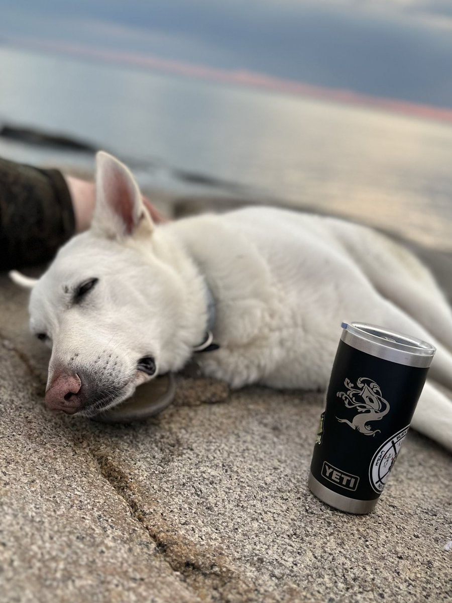 Doug9110's tweet image. Pretty good day. Needed it. Love the sandal pillow…🤘🏼🍺🇺🇸@TreeHouseBrewCo @TreehouseLdog @treehousenate @treehousedean