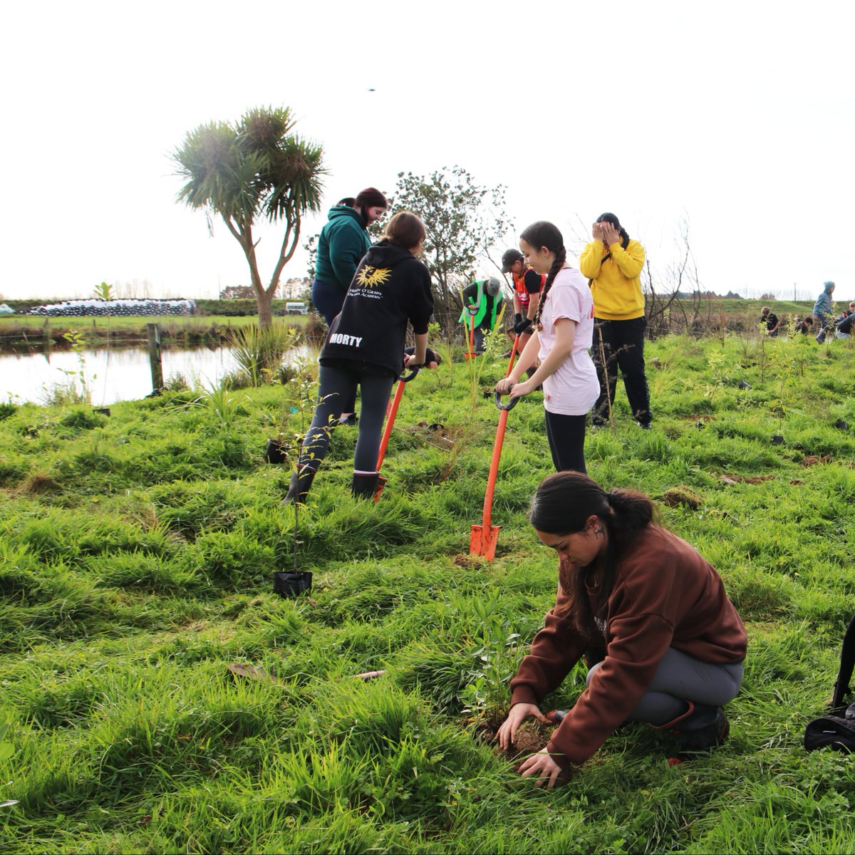 Horizons Regional Council tweet media