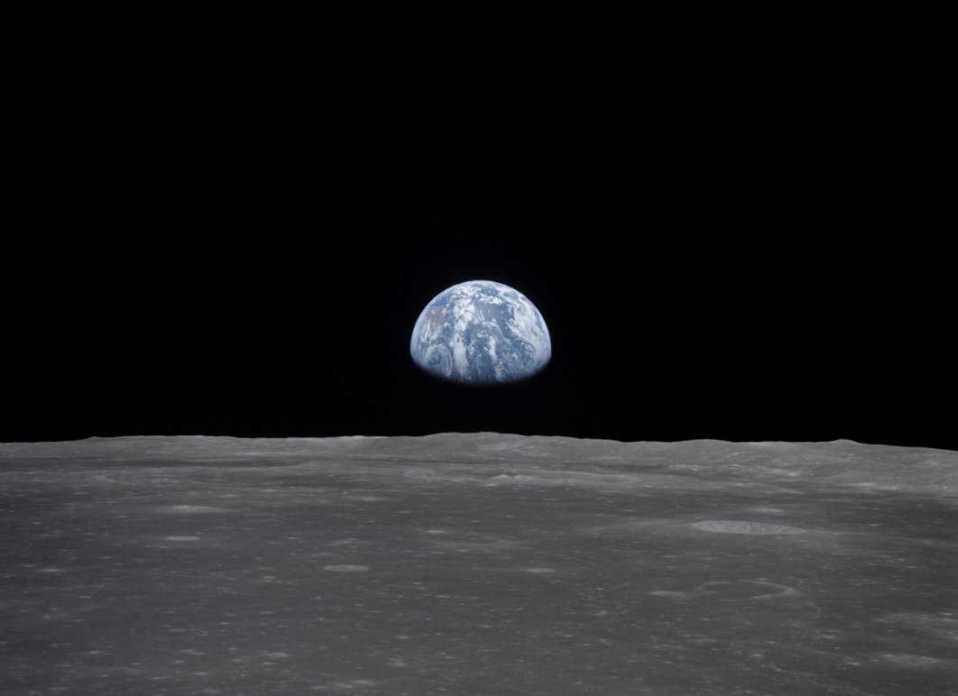 AdoptOneBlock tweet media