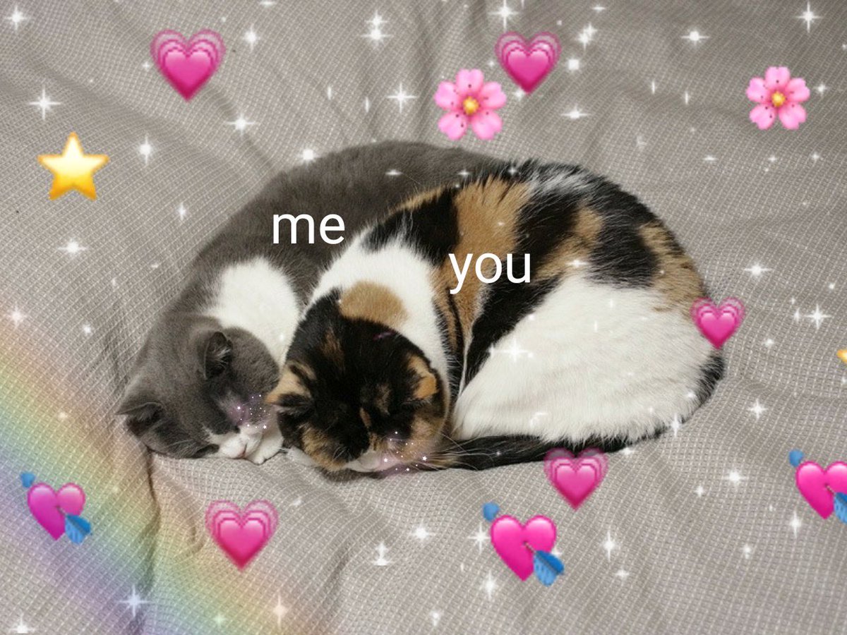 hahakjllme's tweet photo. я девушка солдата, и я тебя дождалась @yeonjunlavbot ❤️‍🩹 https://t.co/lGYQwufqrL