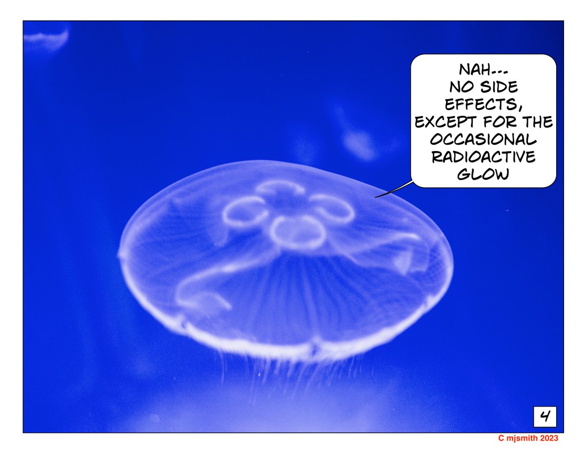 Arti-fish-al

#dadjokes <a href="/AlbertaatNoon/">alberta@noon</a>