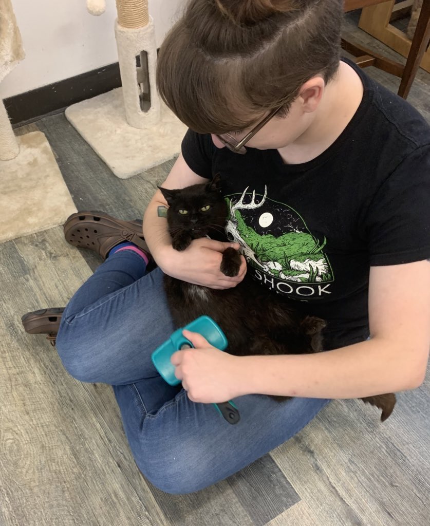 BlackCatMartPgh's tweet photo. I hate that I have to make this post. PLEASE be kind with those of us who work in animal rescue. It is not always fun and glamorous, it’s actually quite difficult and often traumatizing. Extending a little patience and kindness goes a very long way! https://t.co/9pR85rh5T6