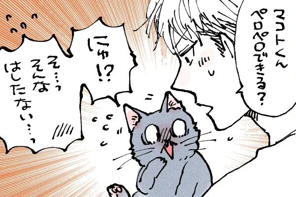 🐱キラキラにゃんこ生活 🤣🤣🤣