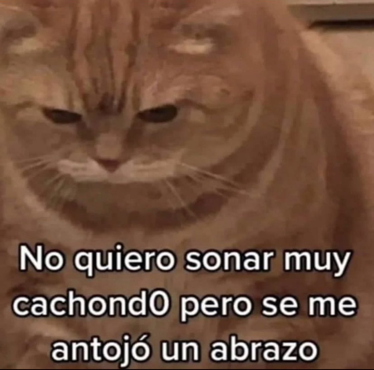 aXoZerr's tweet image. 