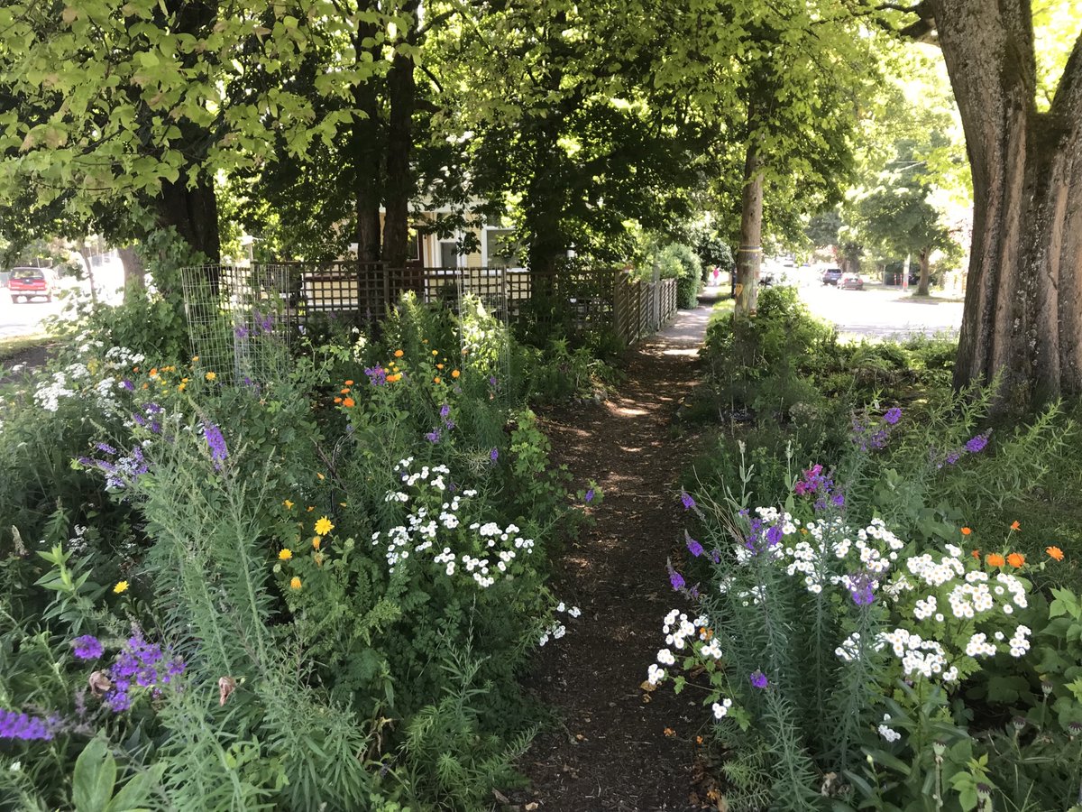 The Emmaus Community &amp; The AbbeyChurch - mailchi.mp/2c3db36a7d1f/a…