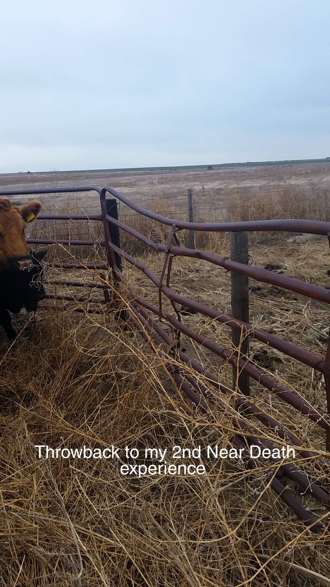 The first work shirt I grabbed made me stop and think a bit.

I grabbed the shirt I was wearing when I was trampled by 2 of our biggest bulls around 6 years ago.  We were loading them into the trailer from a pasture catchpen and they started fighting.