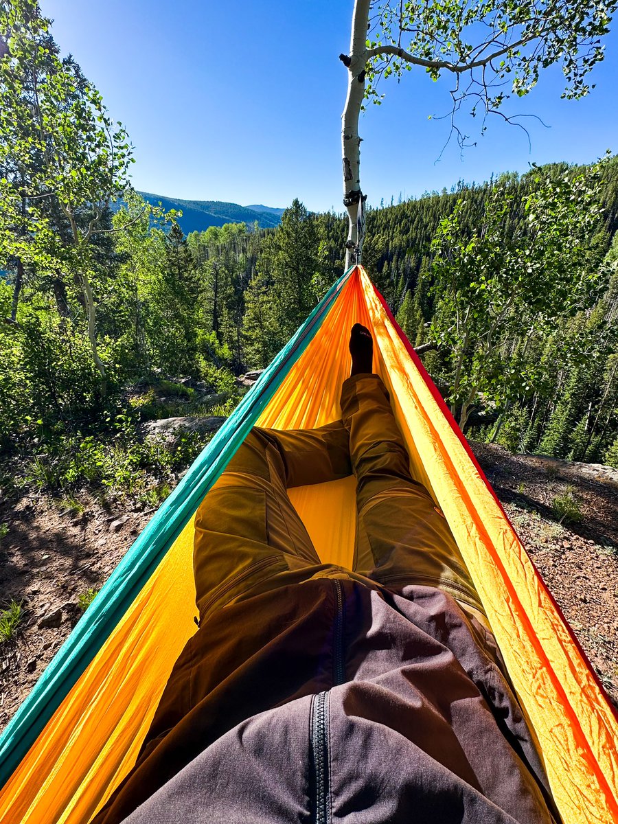 SennaLeith's tweet photo. Solo mission into the woods last night. Campfire, journaling, wildflowers, and a hammock… CO summers 🙌❤️ #colorado #home https://t.co/I1svoxSHLx