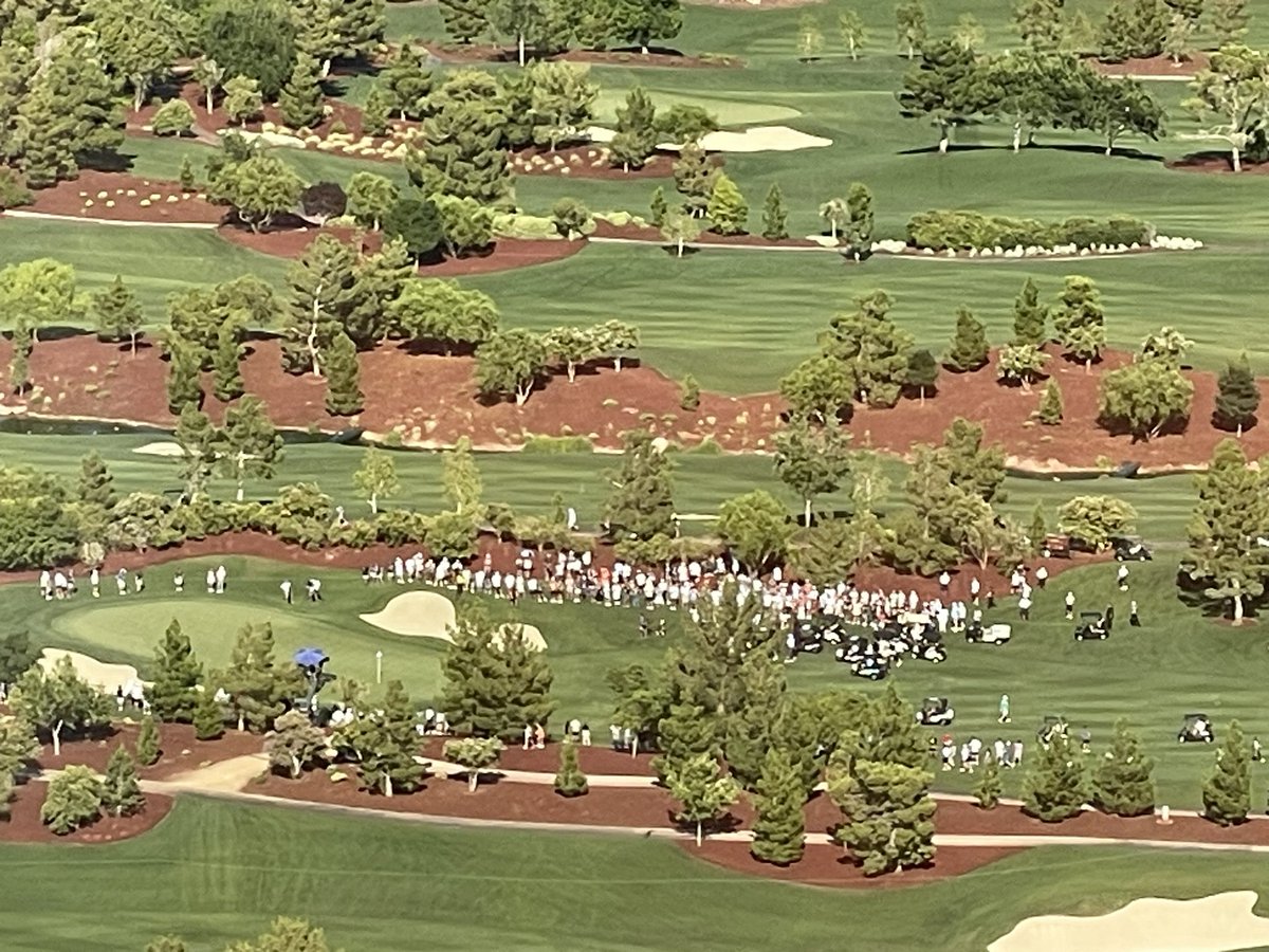 Mart Riley tweet media