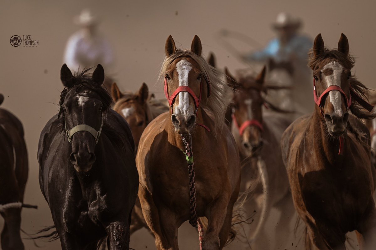 ClickThompson's tweet image. Roll on… #clickthompsonphotography