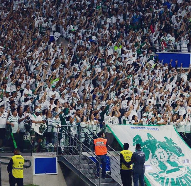 picmeiras (@picmeiras) on Twitter photo 