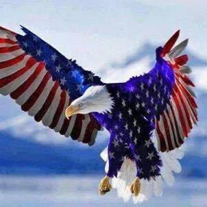 American Patriot 🇺🇸🦅 tweet media