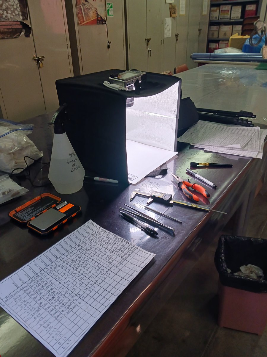 Heather Chamberlain tweet media