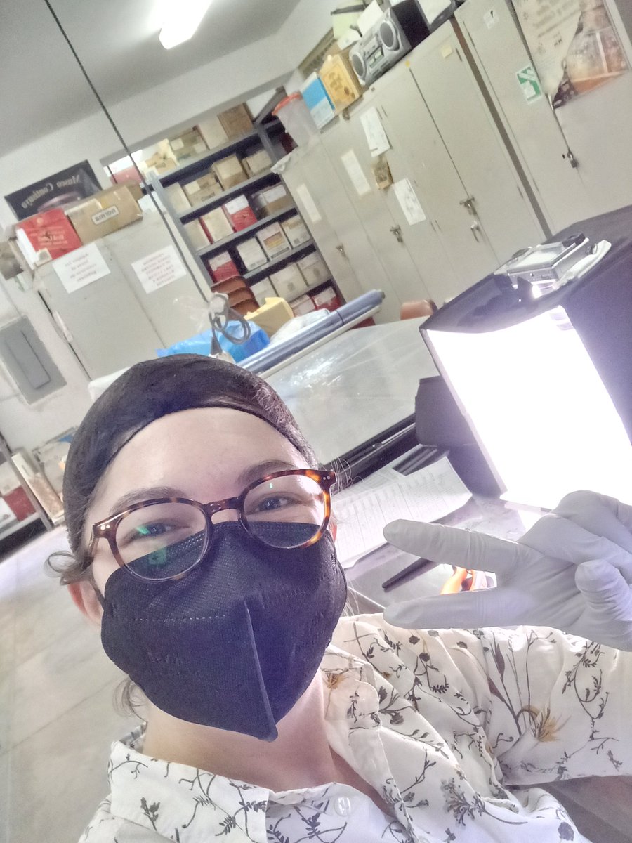 Heather Chamberlain tweet media