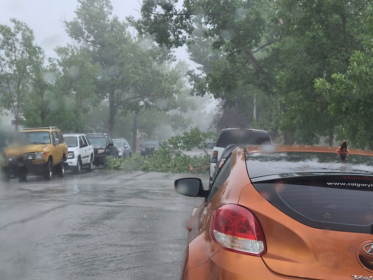 JustDaveGray's tweet photo. Tree branch down in Ramsay #abstorm https://t.co/tJLXQp1m2C