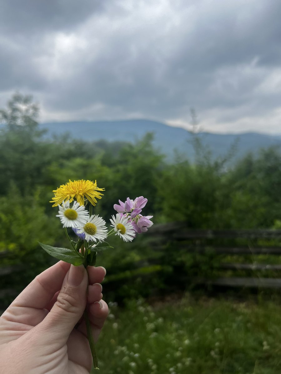 Boardgame_girl1's tweet image. Played a lot of John Denver for car karaoke today. I can definitely understand why he called it almost heaven West Virginia. Overnight is right next to this river in Appalachia with fireflies all around &amp;amp; a train track yards away. (👀Sylvie = my home) #roadtrip #adventure #justgo