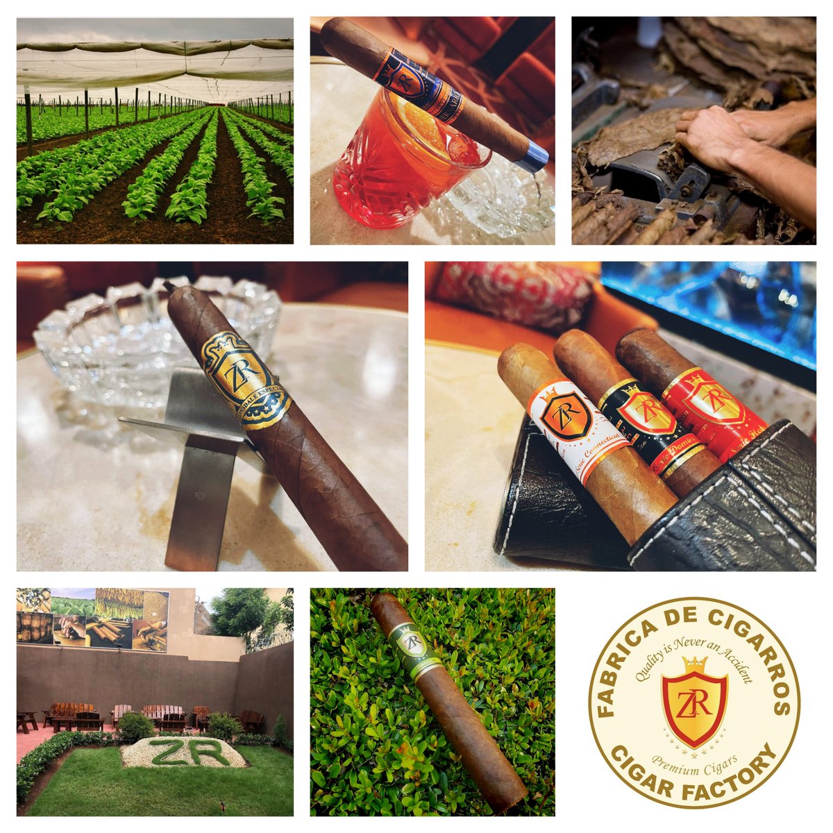 Quality Is Never An Accident 🔥
.
#cigars #cigar #cigarsociety #cigaraficionado #cigarsnob #cigarlife #botl #cigarporn #cigarsmoker #cigarlover #sotl #cigarsocialclub #cigarstagram #cigarsmoke #habanos #cigarsnlife #cigaraficionados #cigarculture #cigarswag #cigarsofinstagram