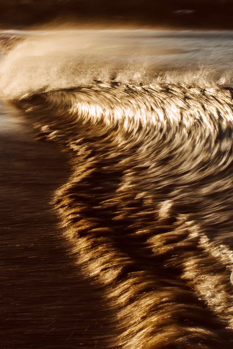 Ⓜ️ICHÆL🥤🌐 • 📷’er📍42°N | Emergence Edition x 20 tweet media