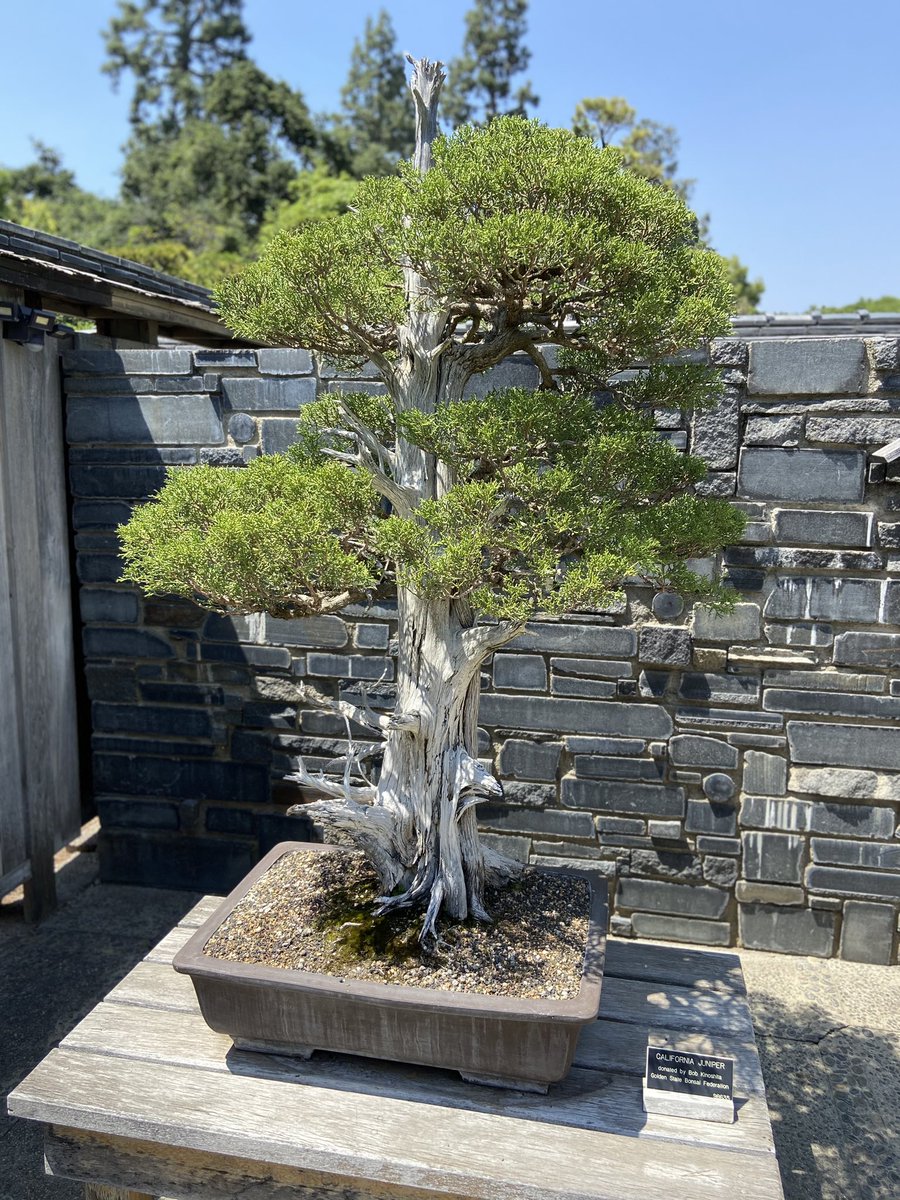 Nicolas Gonzalez (nicosgonzalez.bsky.social) tweet media