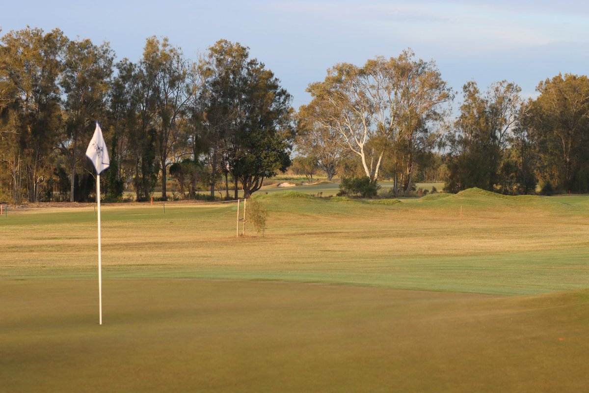 Scott McComas tweet media