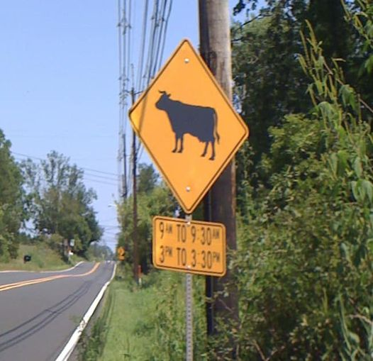 Justice 🍀 tweet media