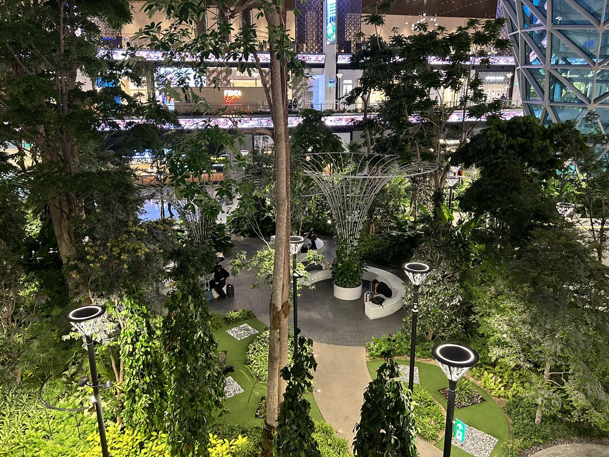 Zane Razzaq tweet media