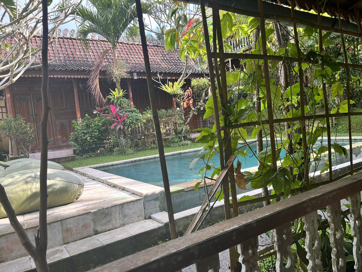 Ubud morning.