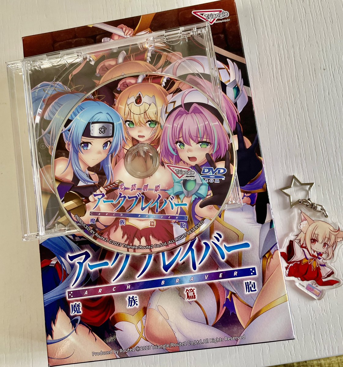 「光装剣姫アークブレイバー届いたよ! 自分の担当したキャラはもちろん、他のキャラの」|雨音@のイラスト