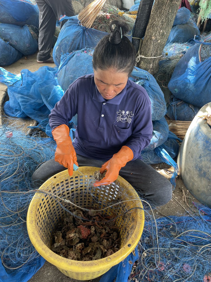 nicole de voogd tweet media