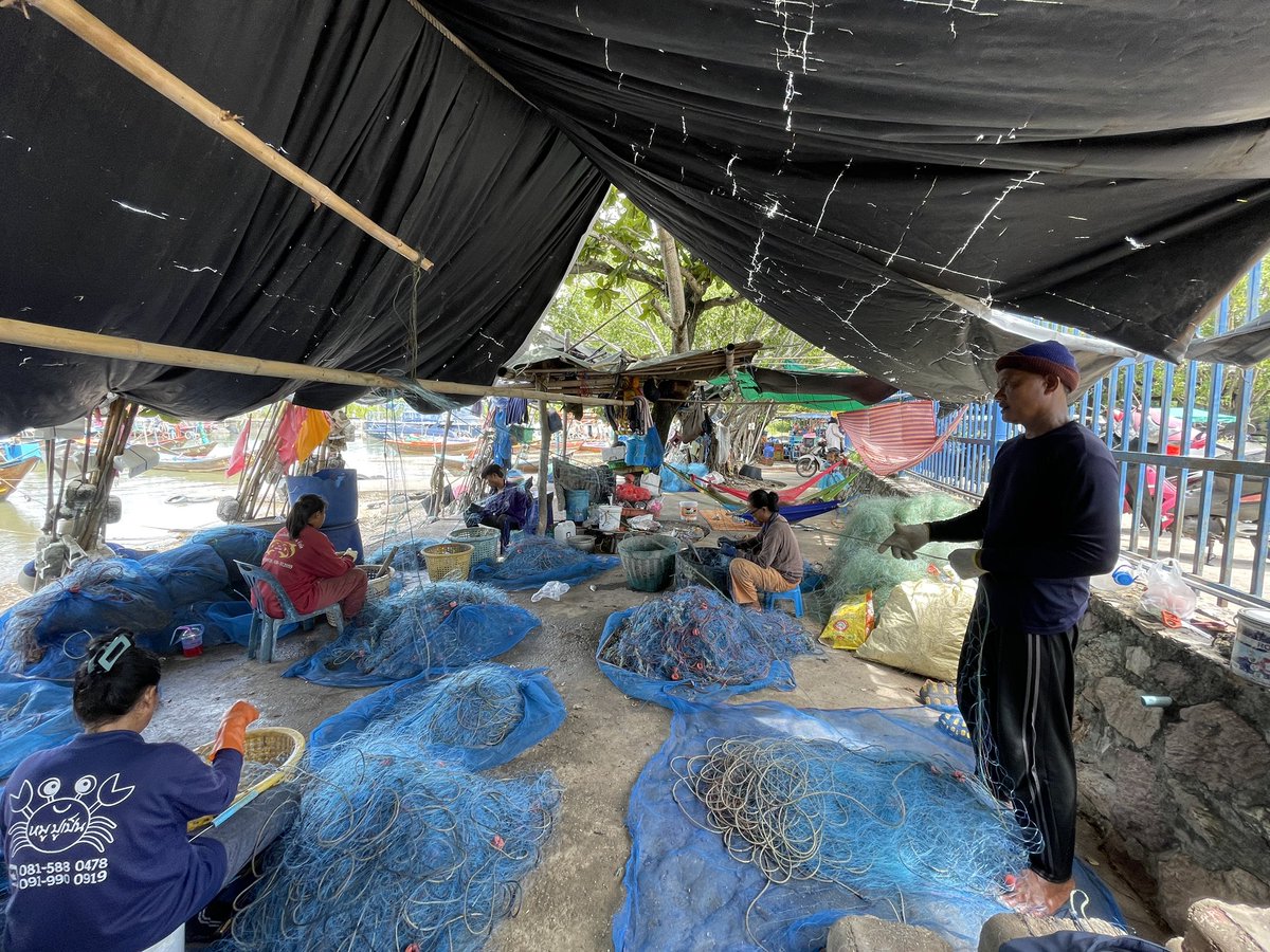 nicole de voogd tweet media