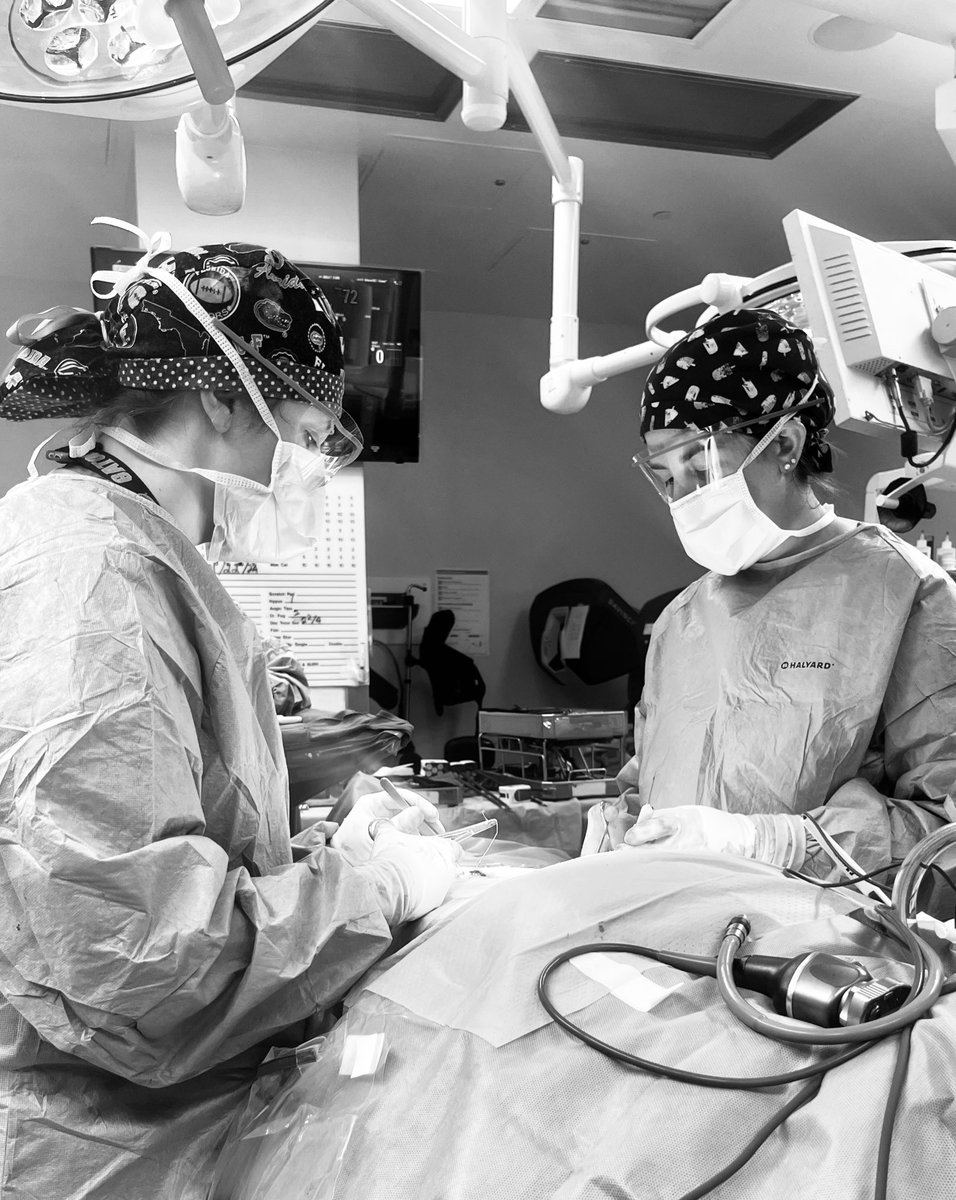 Jordan Matthews Smith (@jordan_smith22) on Twitter photo A final case with our <a href="/UF_Urology/">UF Urology</a> fellow, <a href="/BristolWhiles/">Bristol Brandt Whiles</a>. Working with her has been a PGY-2 highlight.
Both a mentor and another friend have encouraged me that I could be a ‘Bristol’ to somebody one day. I can’t imagine a higher compliment or a better goal to work towards🧡💙 A final case with our <a href="/UF_Urology/">UF Urology</a> fellow, <a href="/BristolWhiles/">Bristol Brandt Whiles</a>. Working with her has been a PGY-2 highlight.
Both a mentor and another friend have encouraged me that I could be a ‘Bristol’ to somebody one day. I can’t imagine a higher compliment or a better goal to work towards🧡💙