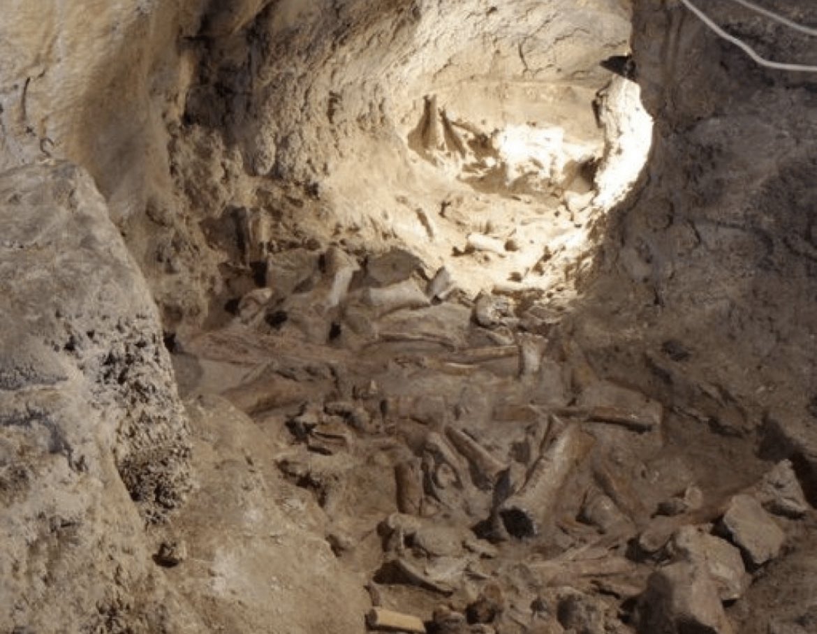 For millennia, this cave in Italy remained isolated from the rest of the world. However, scientists have recently revealed the presence of nine Neanderthal individuals within it. These remains, which range in age from 50,000 to 100,000 years old, represent one of the most