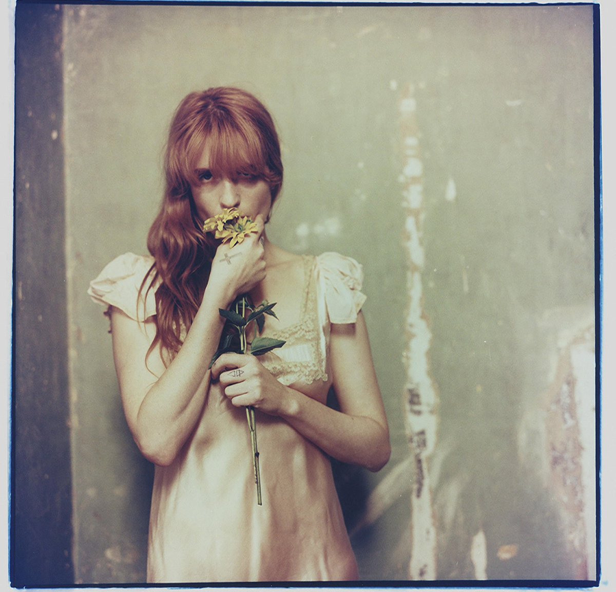 Florence + The Machine Colombia tweet media