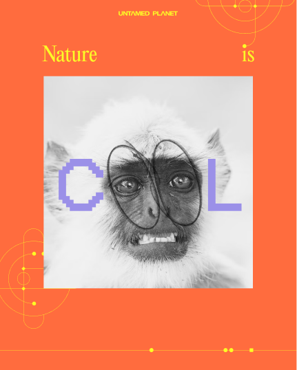 Native to parts of India, the Gray langur's view from the trees, as well as the chital's keen sense of smell and hearing from the ground, combine to supercharge their survival abilities. 

A collaboration we can get behind.