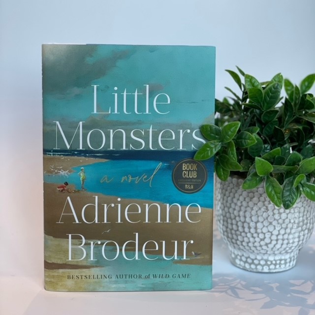 Little Monsters is a lush, arresting modern retelling of the biblical story of Cain and Abel. This atmospheric story of sibling love and sibling rivalry, set in the wilder edges of Cape Cod, is the perfect book to devour beachside.@adriennebrodeur #barnesandnoble #littlemonsters