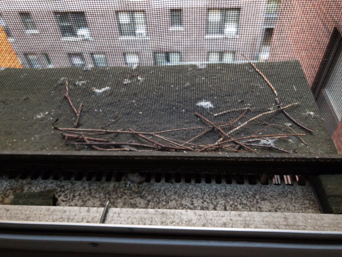 Sam Rubin tweet media