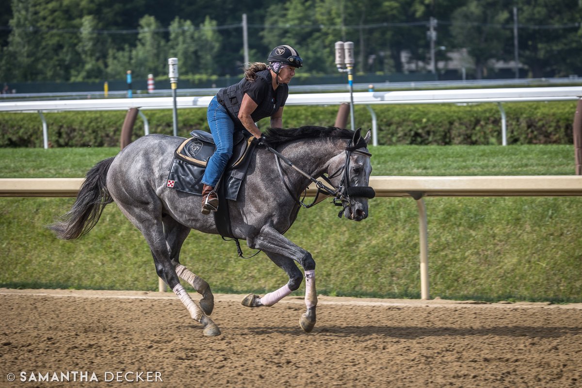 Arcangelo working out at Saratoga yesterday!