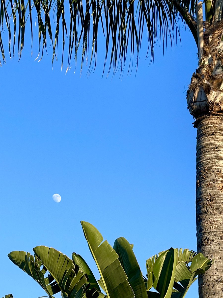 California Moonrise 

🌖🌴🥂

#SantaMonica #moon #CAwx