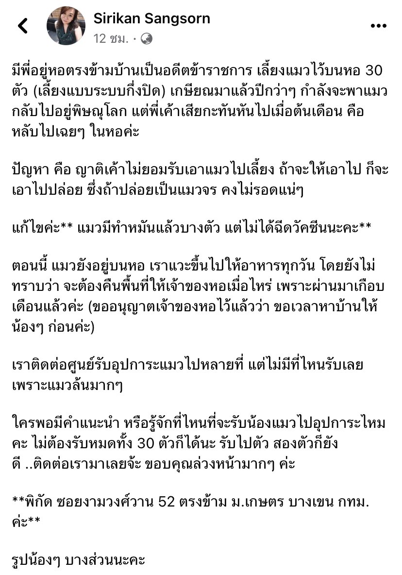 RedSkullxxx's tweet photo. ทาสแมวช่วยด้วย ใครอยากได้แมวไปเลี้ยงลองติดต่อไปดู ไม่งั้นคงเป็นแมวจร https://t.co/nyhOvBMF8x