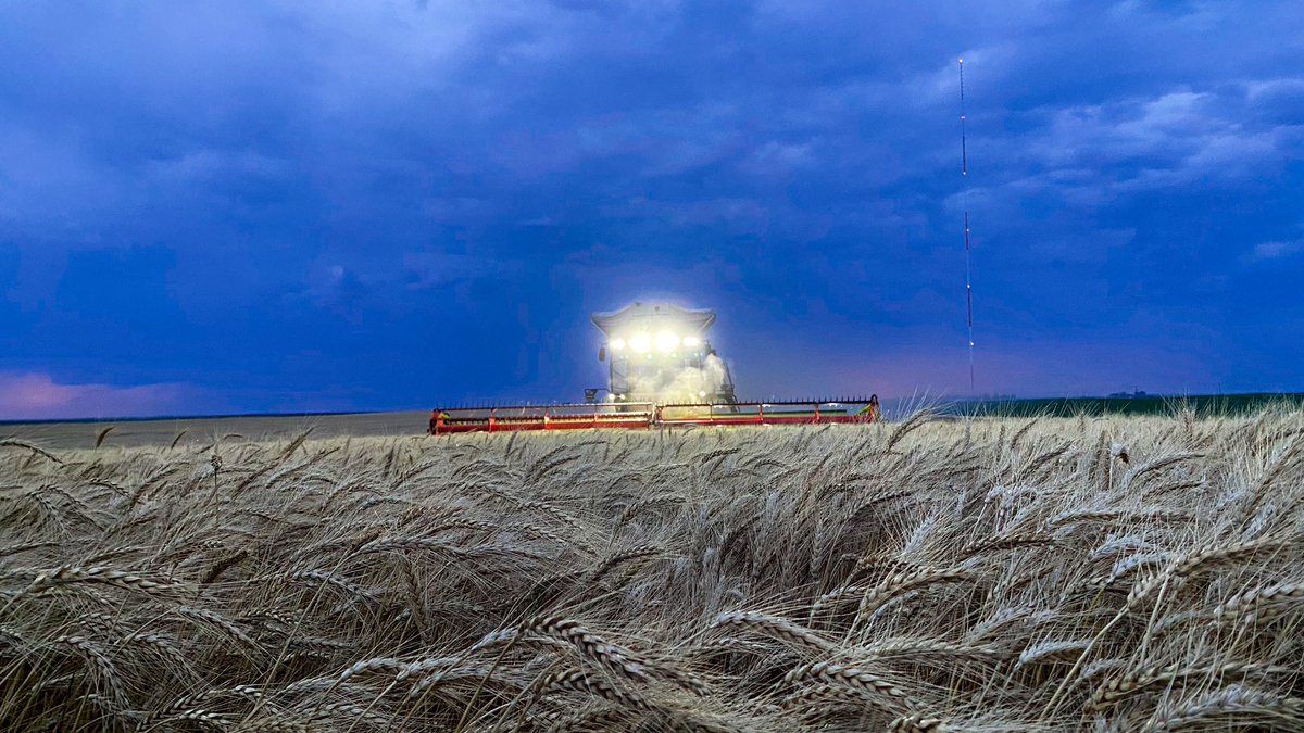 Night harvest 📸 #wheatharvest23 @AMillershaski @TaylorImplement @JohnDeere