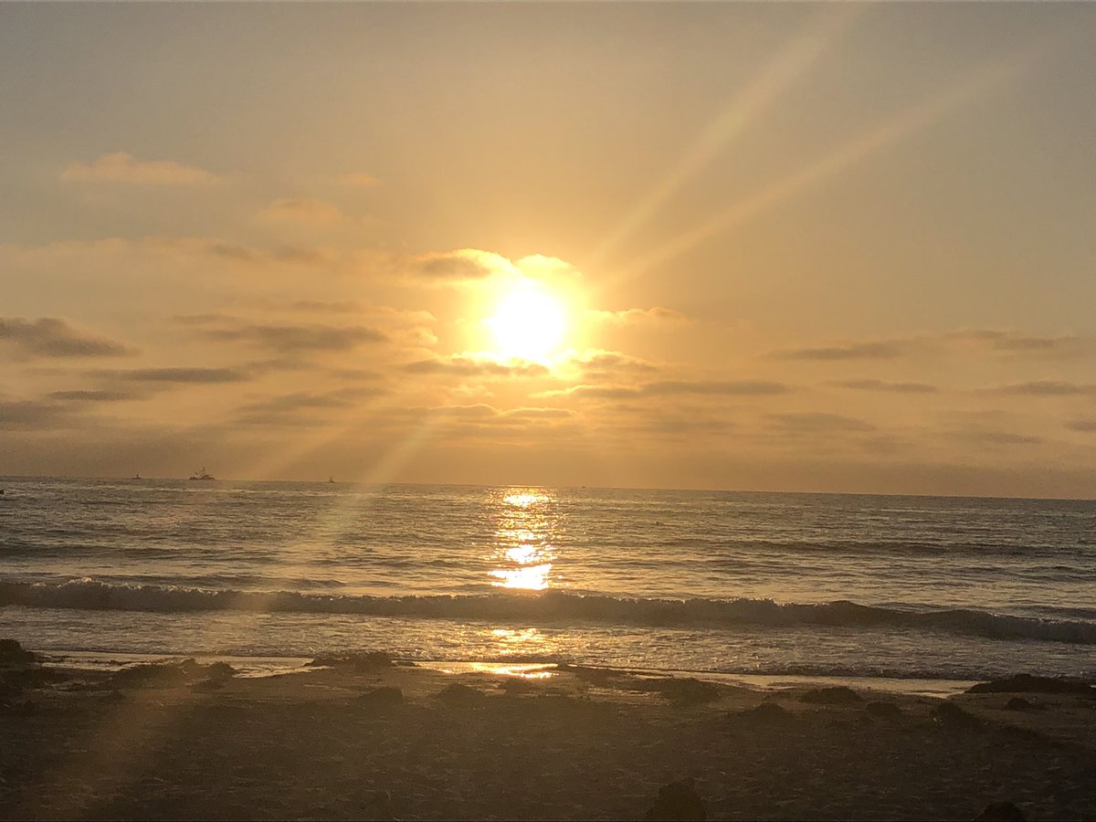 Matt Coviello tweet media