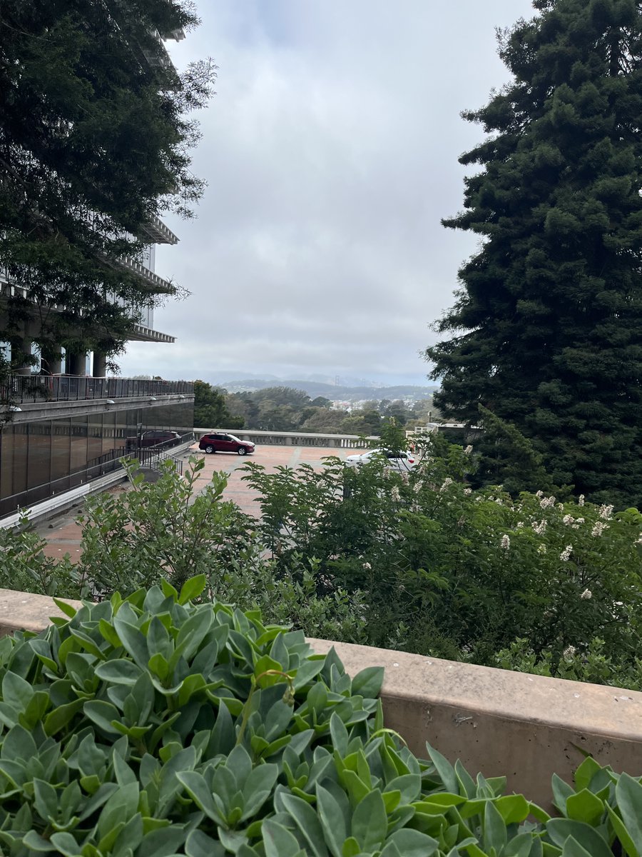 Slavena Vylkova tweet media