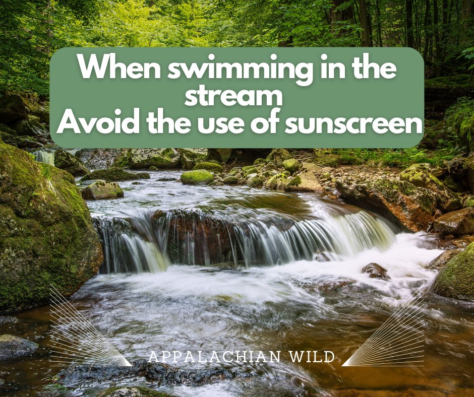 When swimming in the stream. Avoid the use of sunscreen. Most sunscreens are made of harmful chemicals anyway. Instead, wear big hats, sun shirts, and swim where you have a natural tree canopy. It's better better for the local wild ones such as salamanders, brook trout, and more