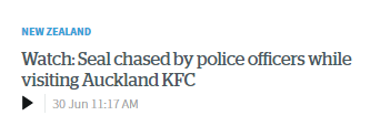 meanwhile in new zealand