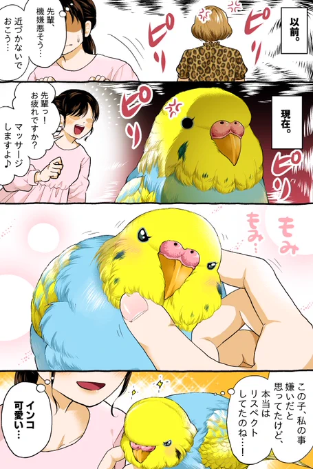 ピリピリしてる先輩( #インコ )。 -- 初丸うげべそ @ugebes0 #ヤメコミ #4コマ漫画 #もふもふ